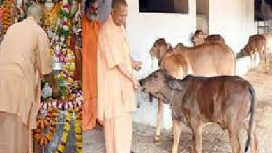 Photo of उत्तर प्रदेश: नवरात्र के पहले दिन मुख्यमंत्री योगी ने शक्ति उपासना कर गायों को खिलाया गुड़