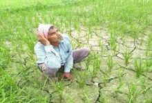 Photo of नई दिल्ली: इस साल सामान्य रहेगा मानसून, कृषि पर नहीं पड़ेगा ज्यादा असर