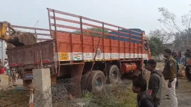 Photo of नशे में धुत ट्रक ड्राइवर ने मचाया कोहराम: दो गायों को रौंदा, मौके पर मौत, ट्रक समेत चालक गिरफ्तार