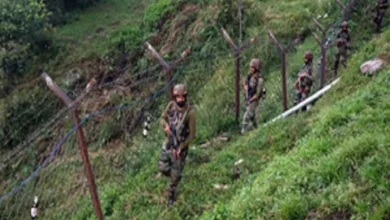 Photo of सेना ने जम्मू-कश्मीर के पुंछ में एलओसी पर पाक ड्रोन हमले की कोशिश को किया नाकाम
