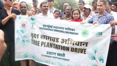 Photo of माता-पिता की याद में अक्षय कुमार की अनोखी पहल, BMC के साथ मिलकर लगाए 200 पेड़