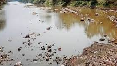 Photo of भोपाल: खंडवा में आबना बन गई है सिर्फ बरसाती नदी, लोग बोले-स्टॉप डैम बनने से टूटी नदी की धार