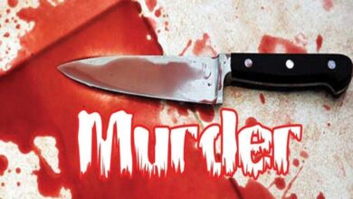 Photo of कनाडा के ब्रैम्पटन में महिला की चाकू मारकर हत्या
